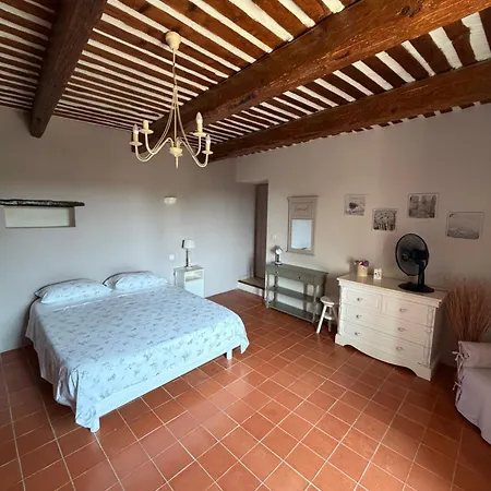 Authentique Mas Provencal A Ferienhaus Visan